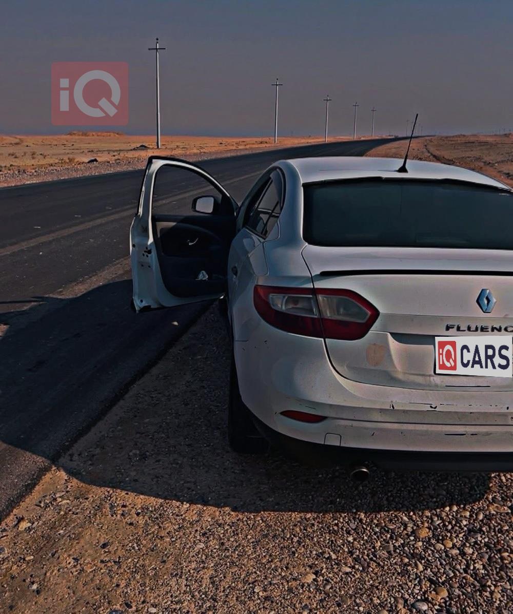 رينو فلوينس